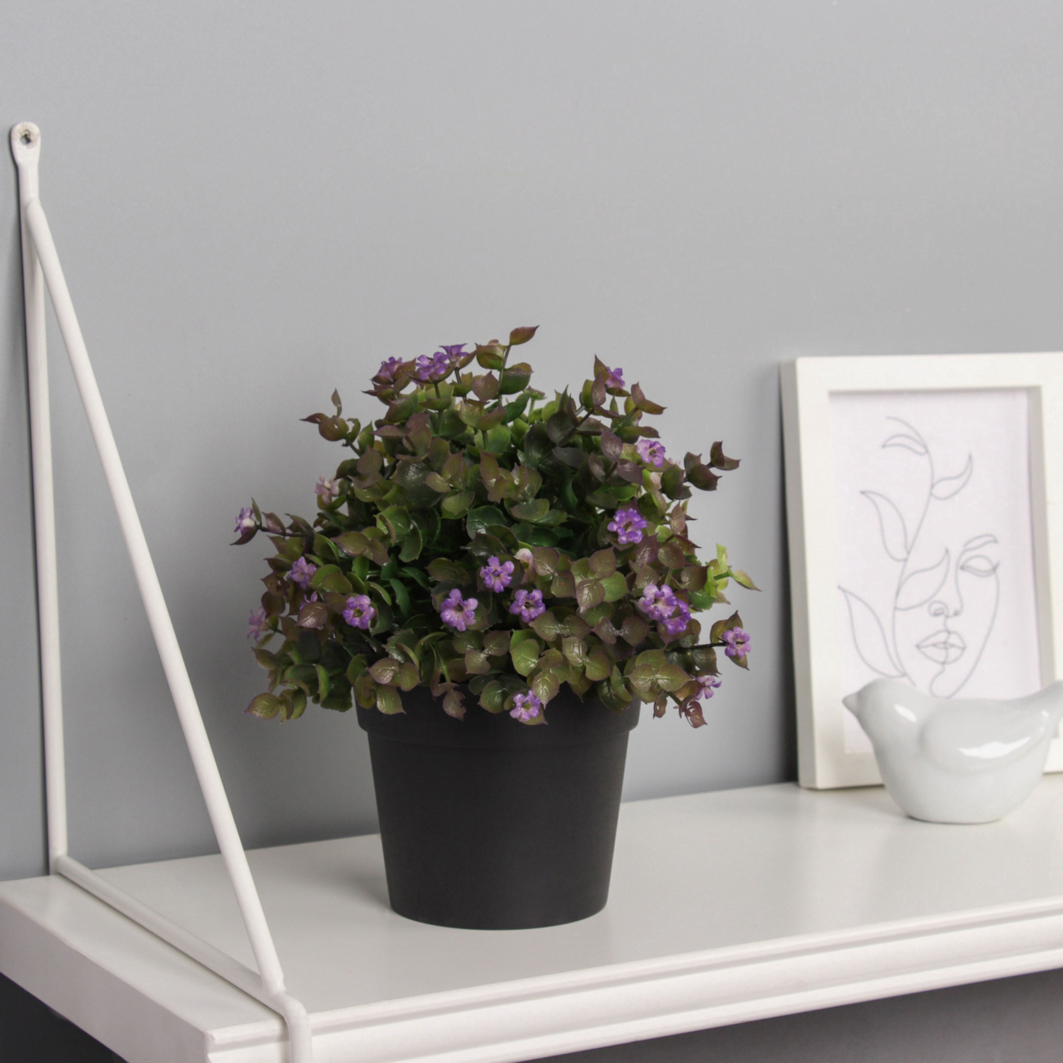 Бонсай в горшке "Фиалка мини с зеленью галант" 18х10 см, микс   10697875