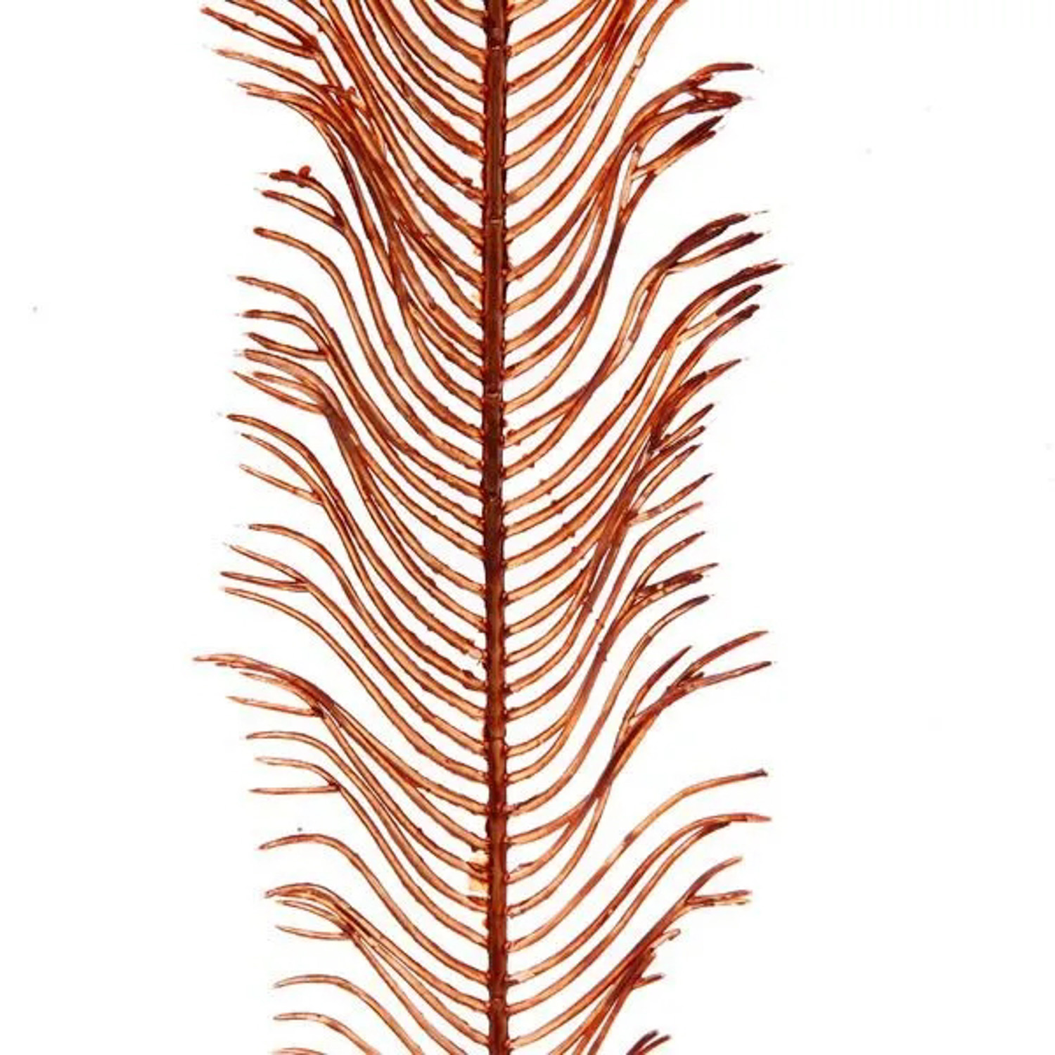 Ветка декоративная "Волшебное перо" 53 см, Янтарь