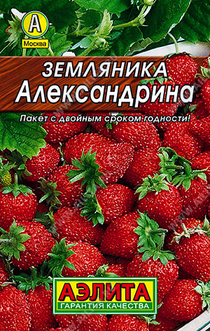 Семена Земляника Александрина  0,05гр Аэлита Лидер *10/200 Семена Земляника Александрина  0,05гр Аэлита Лидер *10/200