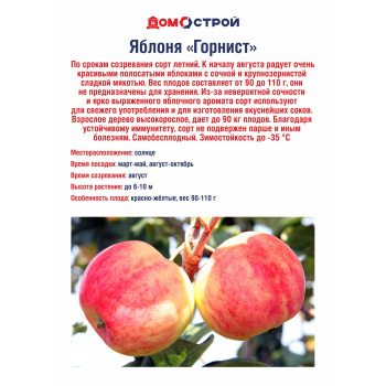 Яблоня Горнист