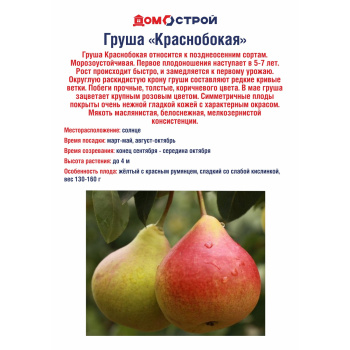 Груша Краснобокая