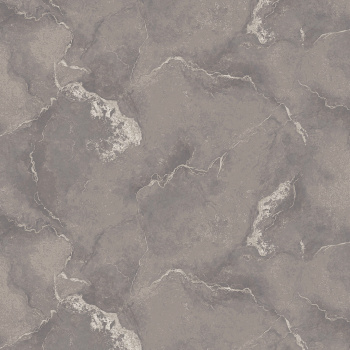 Обои флиз. "Эрисманн" Atlantis фон (корич.) 60936-05 10.05х1.06м *6