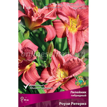 Лилейник гибридный Роузи Ритернз/К